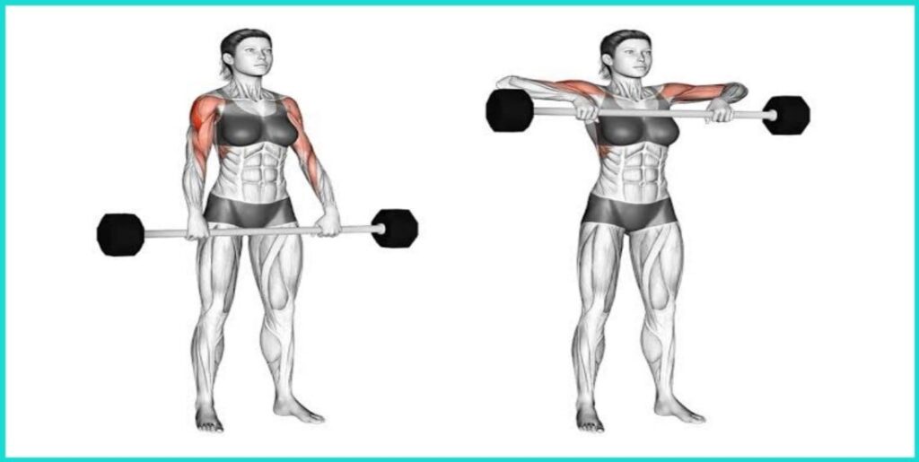 Shoulder Workout for Beginners- Upright Row